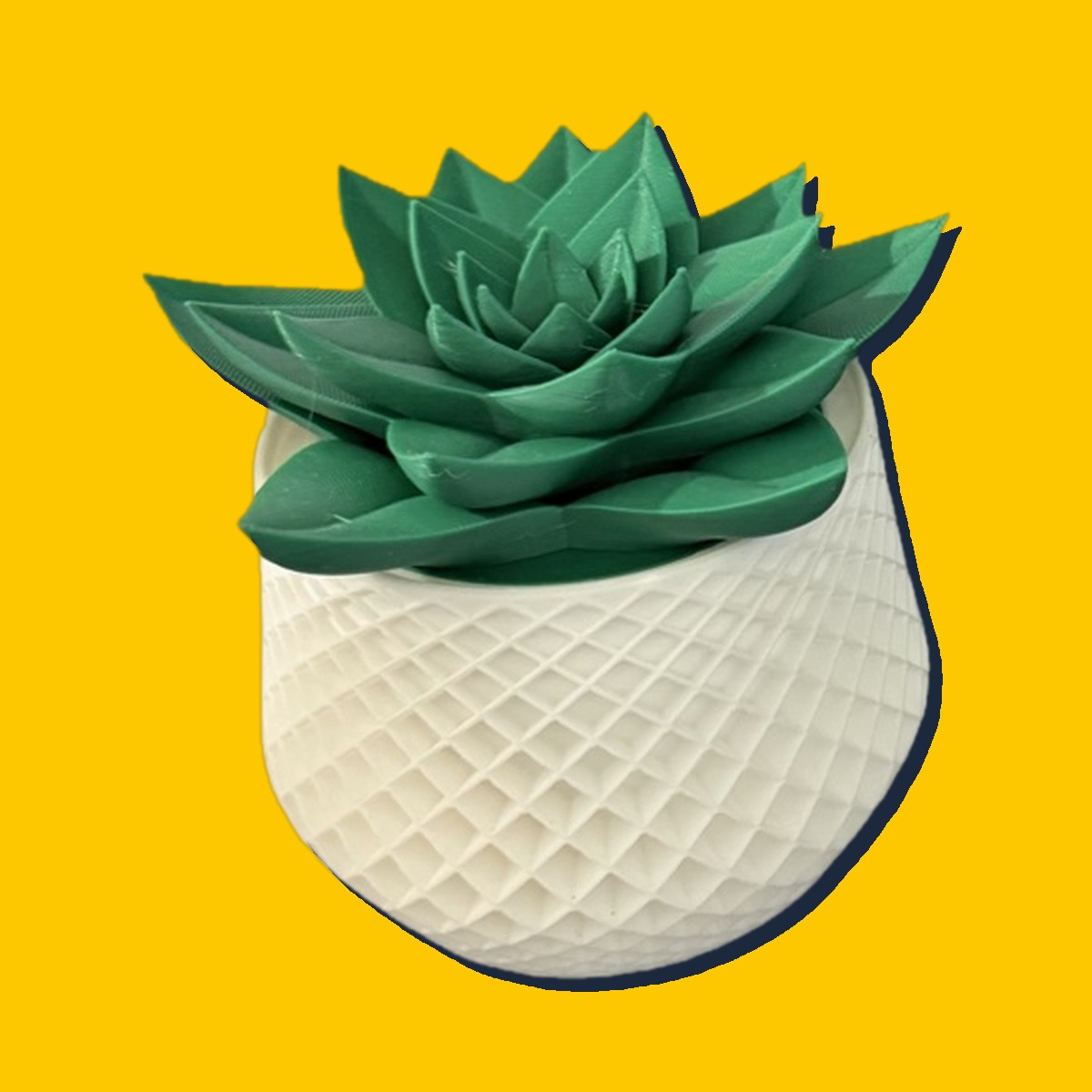 Succulent Planters, a handmade 3D print